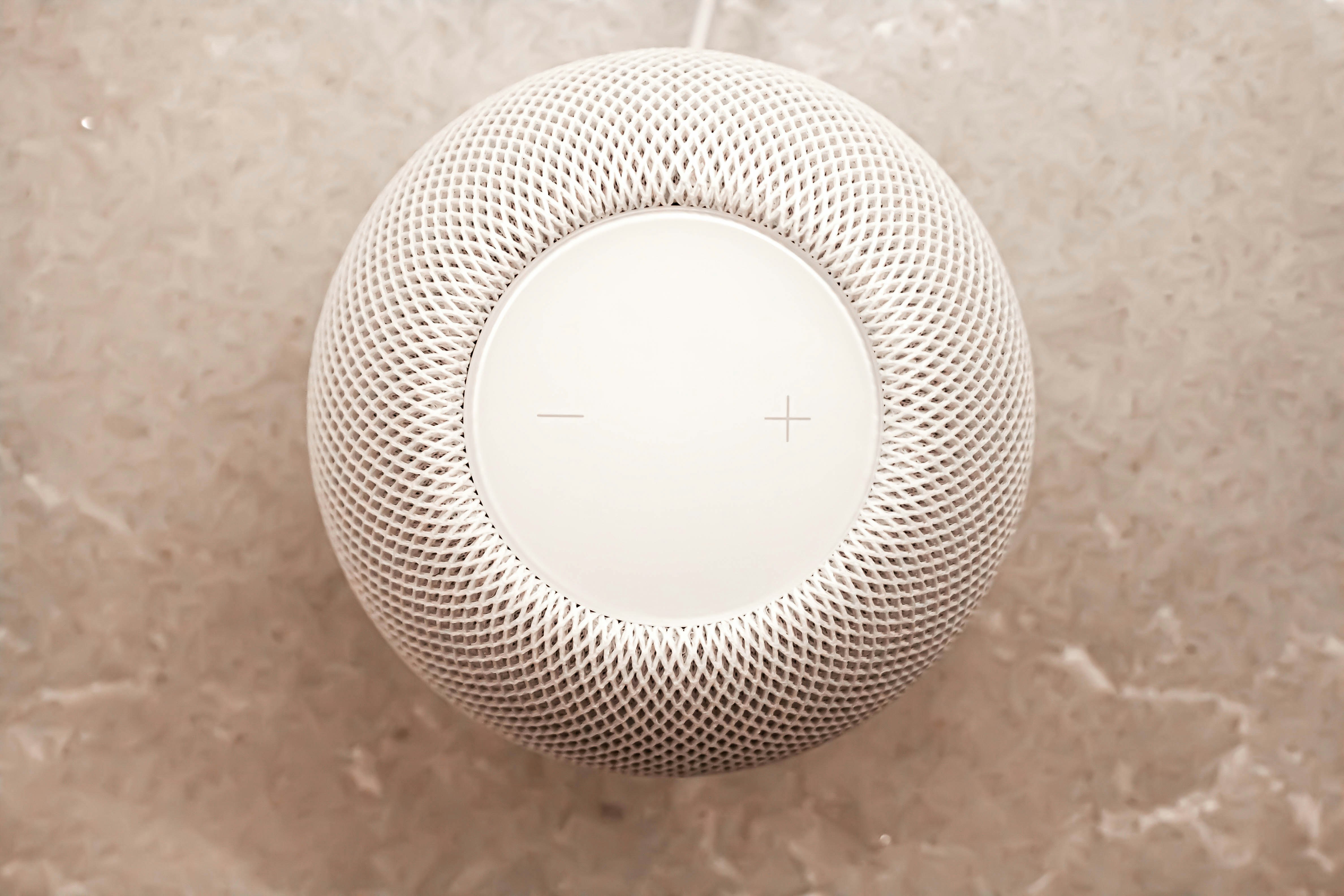 Smart speaker  being used for voice search